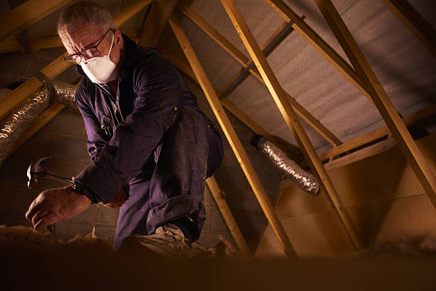 Best Specialized Insulation Services in Neuse Forest, NC